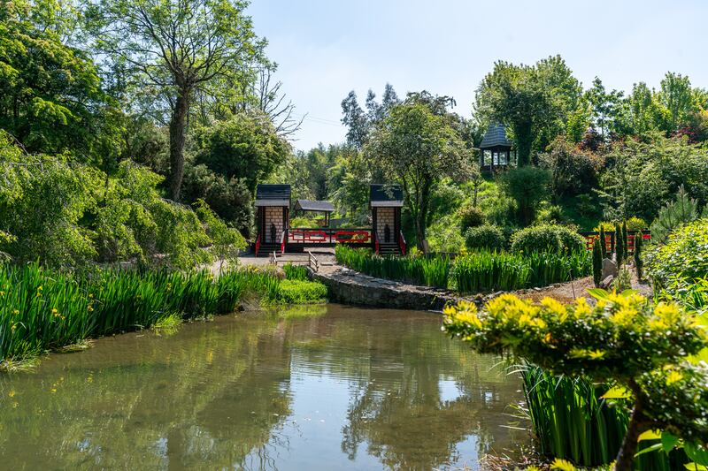 The Japanese-style garden