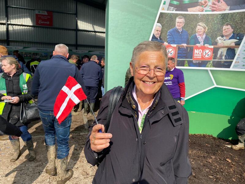 Dolores Bruun: 'They won’t have the baggage and the history of any other party.' Photograph: Fiachra Gallagher