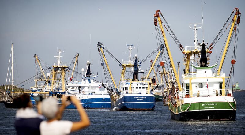 Global estimates confirm about 34 per cent of marine wild fish stocks are overfished. Photograph: Koen van Weel / ANP / AFP