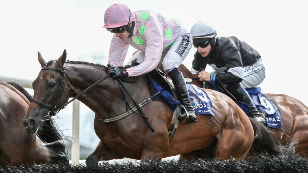 Ruby Walsh on board Long Dog on the way to winning The Topaz Novice Hurdle on the second day of the Galway Festival at Ballybrit. Photograph: James Crombie/Inpho