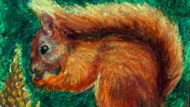 Have Howth’s red squirrels succumbed to invasive greys?
