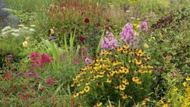 Spring into action and get your borders in order