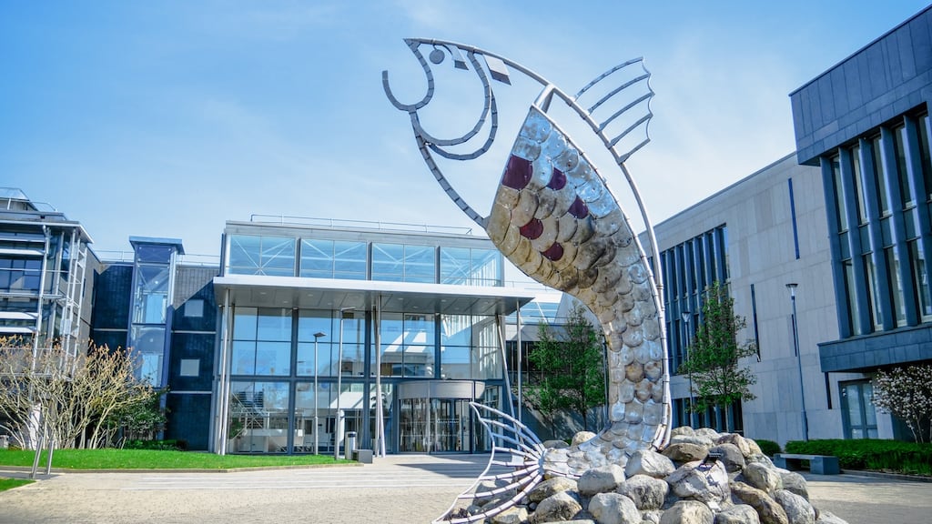 The IT Sligo team will be available to answer any questions students might have about courses and student life.