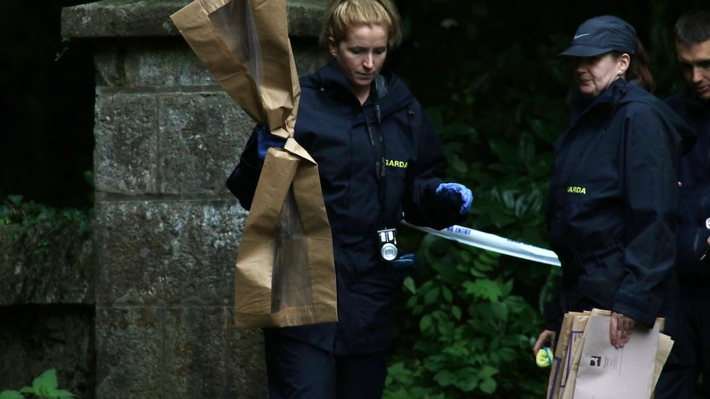 Members of the Garda Forensics unit remove evidence at the scene in Rahin Woods, near Edenderry where Philip Finnegan’s body was found.