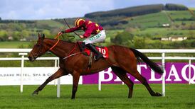 Minella Indo can lay down Gold Cup marker at Leopardstown