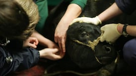 Vets vote to reject new State pay agreement