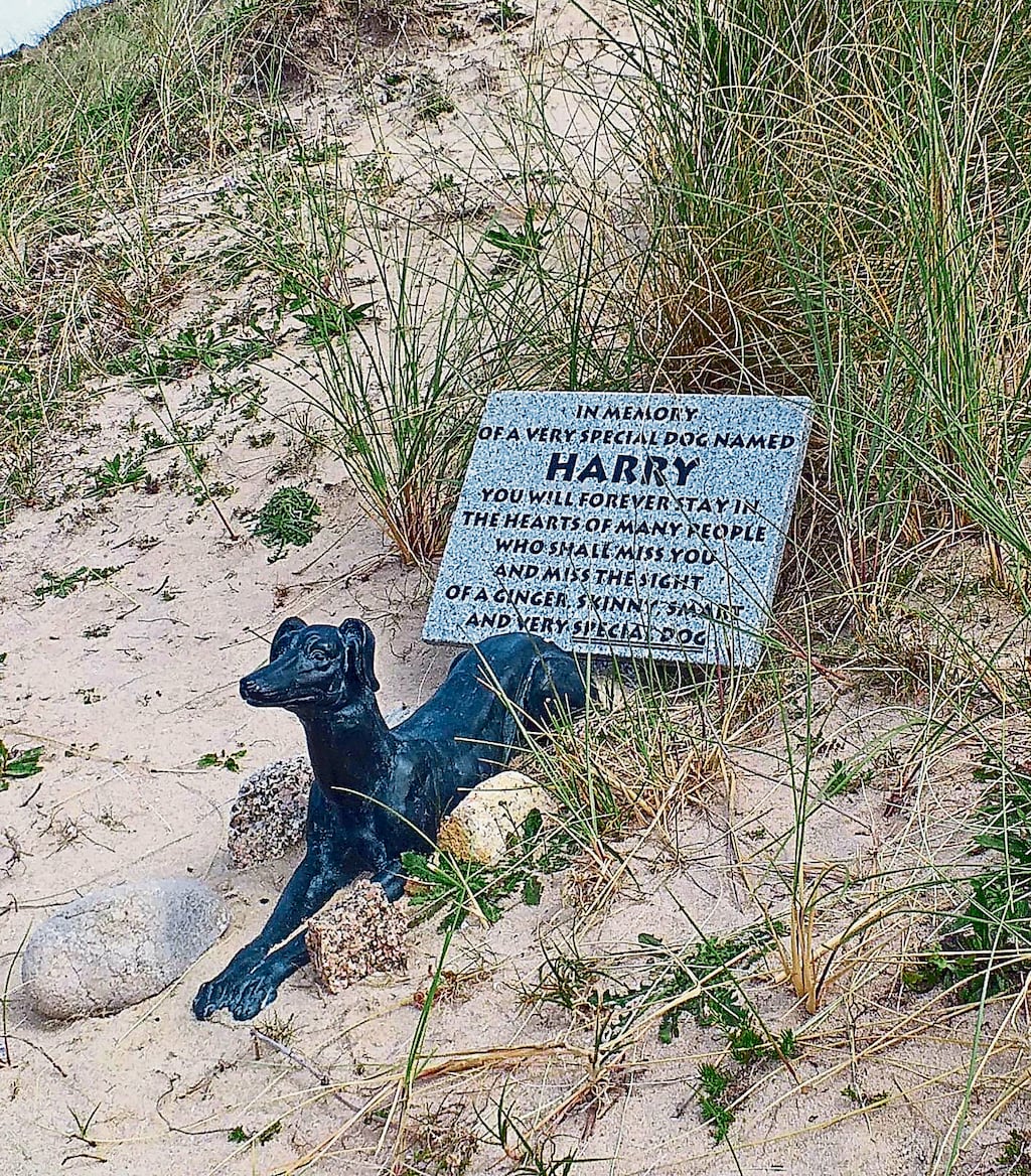 The monument that has been placed on Magheraclogher beach in west Donegal in memory of Harry the dog. Photograph: Tommy Curran