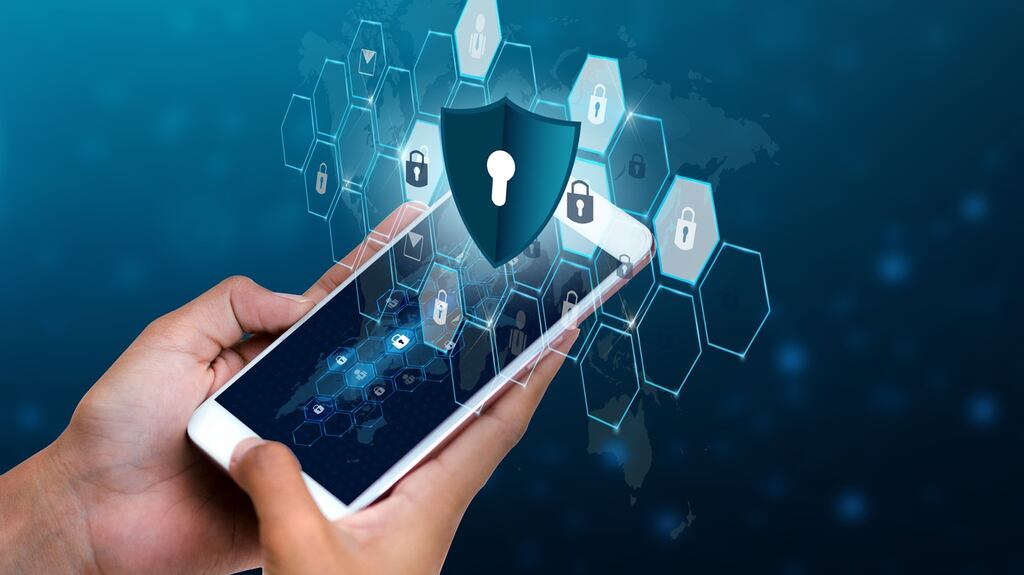 CWSI was set up in 2011 by Ronan Murphy. Photograph: Getty Images