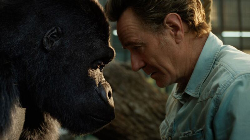 Ivan and Bryan Cranston in The One and Only Ivan