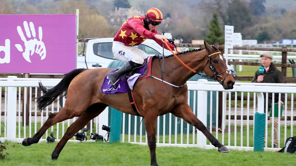 Gold Cup winner Minella Indo will be amongst the starters for Saturday’s Paddy Power Irish Gold Cup at Leopardstown. Photograph: Mark Cranham/Inpho