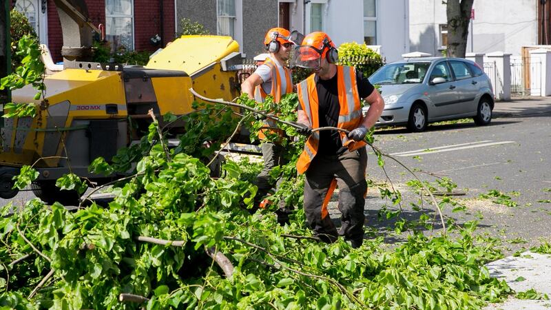 Fallen trees are removed from Clonliffe Road in Dublin following strong winds on Friday. Photograph: Gareth Chaney/Collins