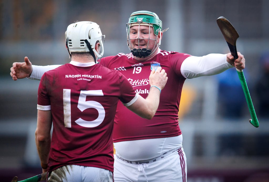 Joe Coleman celebrates with Rory O'Connor after St Martin's victory over Naas in the Leinster SHC quarter-final at St Conleth's Park in Newbridge. Photograph: Tom Maher/Inpho