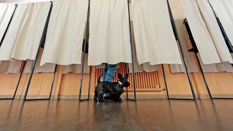 A dog waits as its owner stands in a polling booth at a polling station in Nice during the French mayoral elections. Photograph: Eric Gaillard/Reuters.