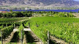 A sweet wine that’s low in alcohol and a great value everyday wine