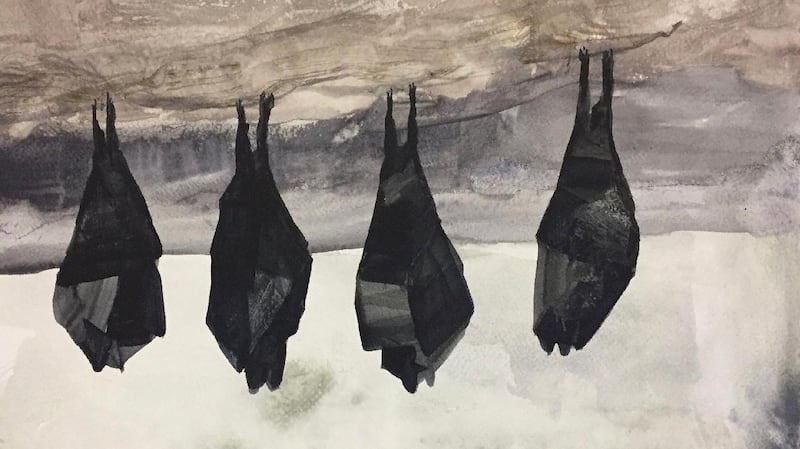 Lesser Horseshoe, resting, Austin McQuinn, 2018