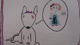 Eolaí Caillte: A story by 4th class, Gaelscoil Pheig Sayers, Bóthar Rí na hAoine, Corcaigh