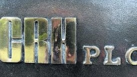 CRH reportedly places bid for Indian business