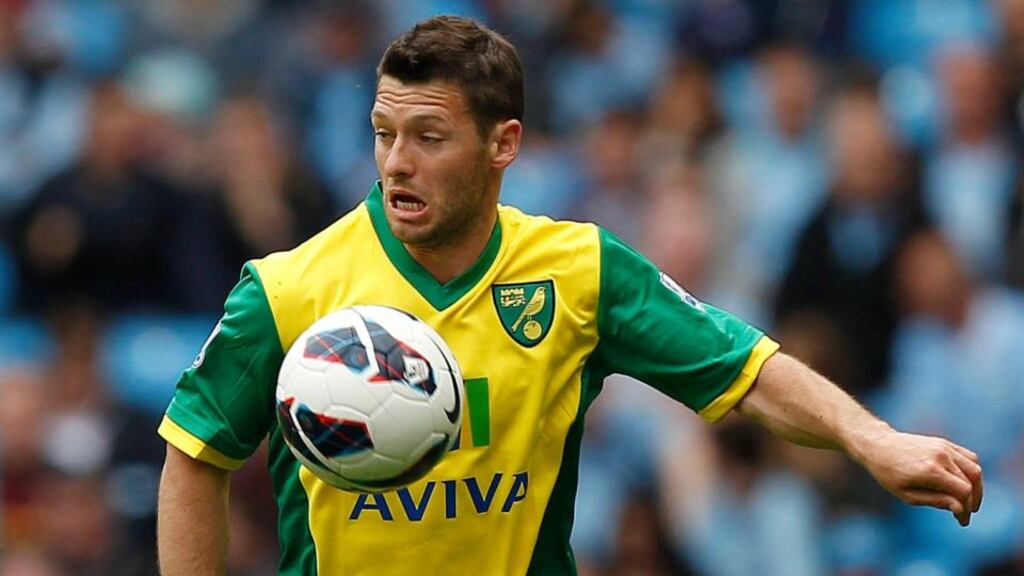 Norwich City manager Chris Hughton says Wes Hoolahan still has a future at the club. Photograph: Dave Thompson/PA Wire