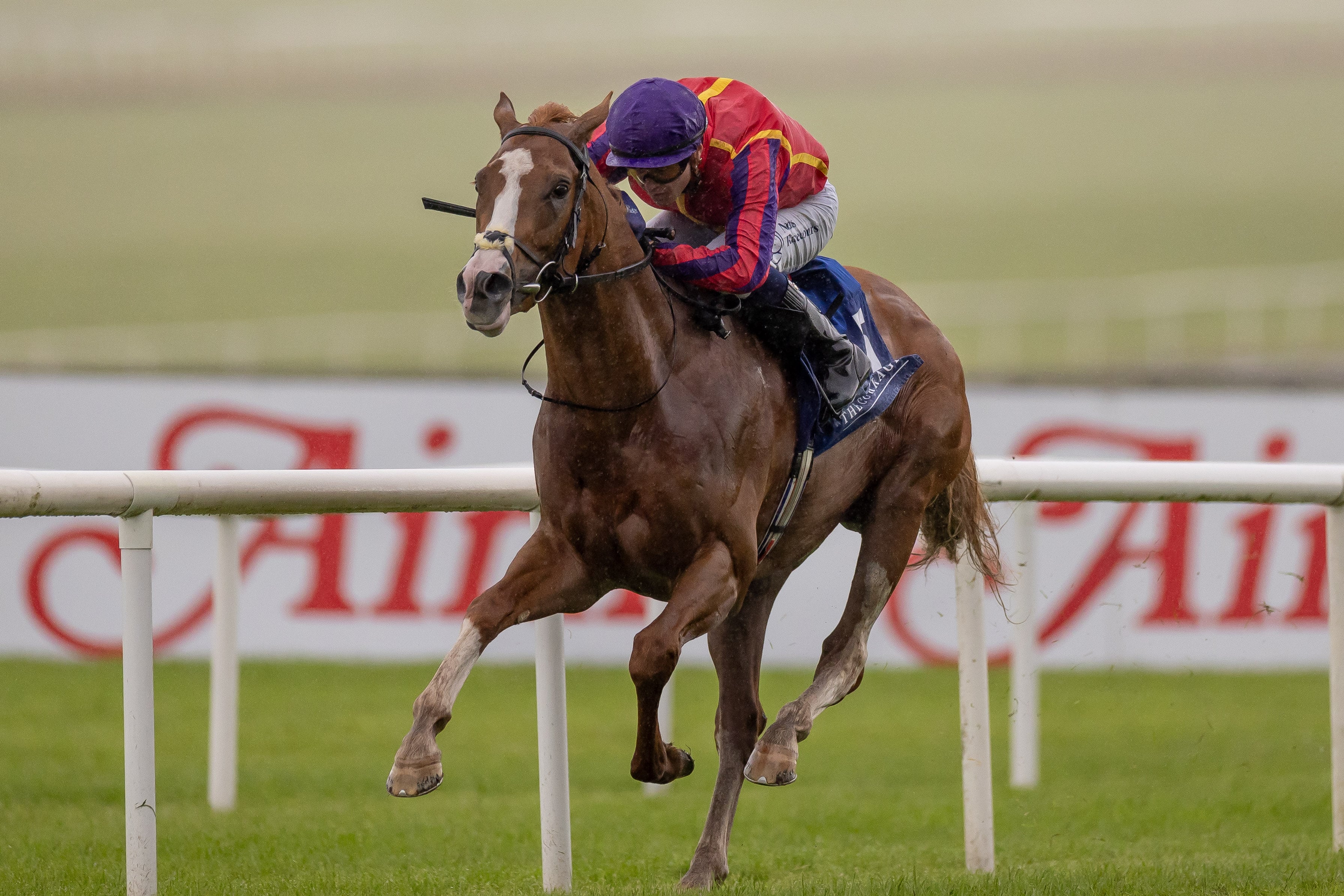Joseph O’Brien’s Galen set to fly Irish flag in $1m Bahrain Trophy on Friday