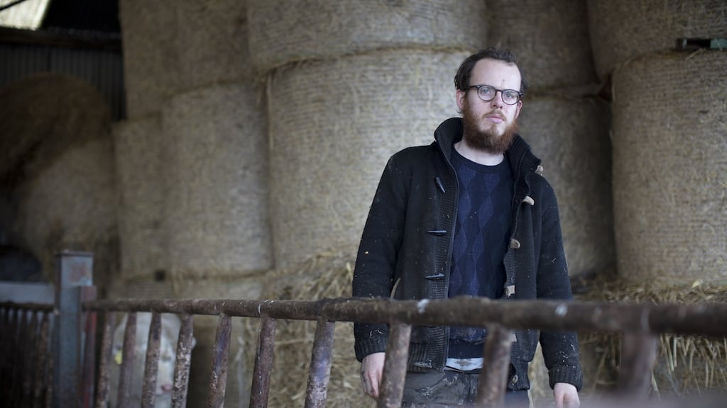 John Connell: I feel lucky I can do both these jobs, the physical and the mental and see how they feed into each other. A calf grows like a book, day by day, line by line. Some thrive and others fade. Photograph: Eamonn Doyle