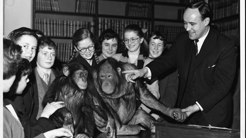 Desmond Morris: “I was studying primate behaviour and I realised I needed to look at humans as a species of animal.” Photograph: Hulton-Deutsch Collection/Corbis via Getty