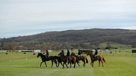 Cheltenham 2021: Irish contingent reminded to stick with tight Covid protocols