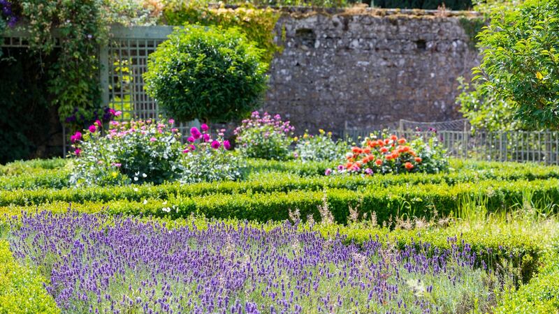 Flowers at Castle Durrow