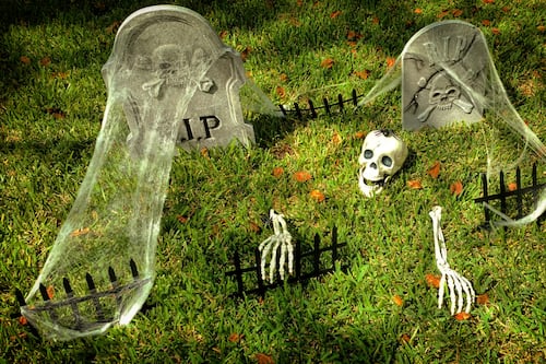 Plastic Halloween bones will still be around centuries after ours have fed the Earth