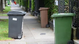 Woman put flaming paper through letterbox in row over bins