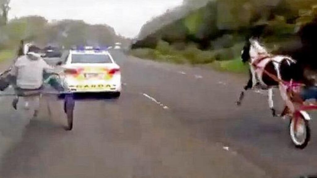 YouTube screen grab of two men racing each other on horse-drawn sulkies on the Cork-Limerick road as gardaí attempt to stop them