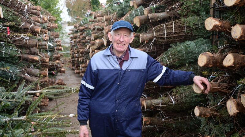 Denis L Kelleher on Kelleher’s Christmas Tree Farm. Photograph: Dara Mac Donaill