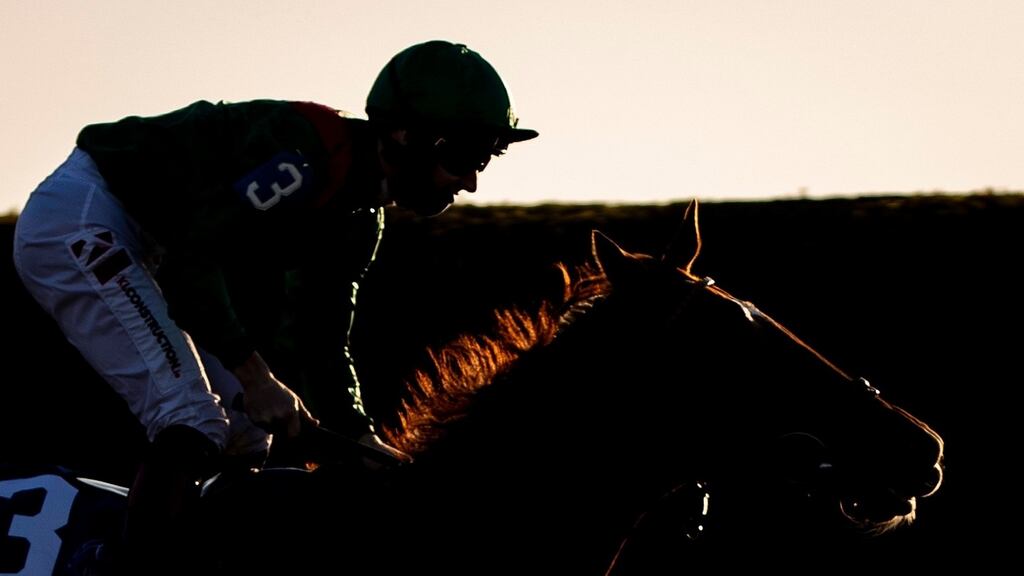 The talented Tarnawa has won eight of her 14 career starts to date. File photograph: Getty