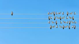 Diseases of despair – a striking phrase but what’s behind it?