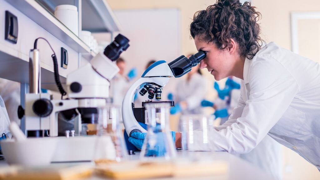 Groups such as the Royal Irish Academy have argued that the role of chief scientific advisor should not be combined with the head of a national research funder in order to  avoid potential conflicts of interests. Photograph: iStock