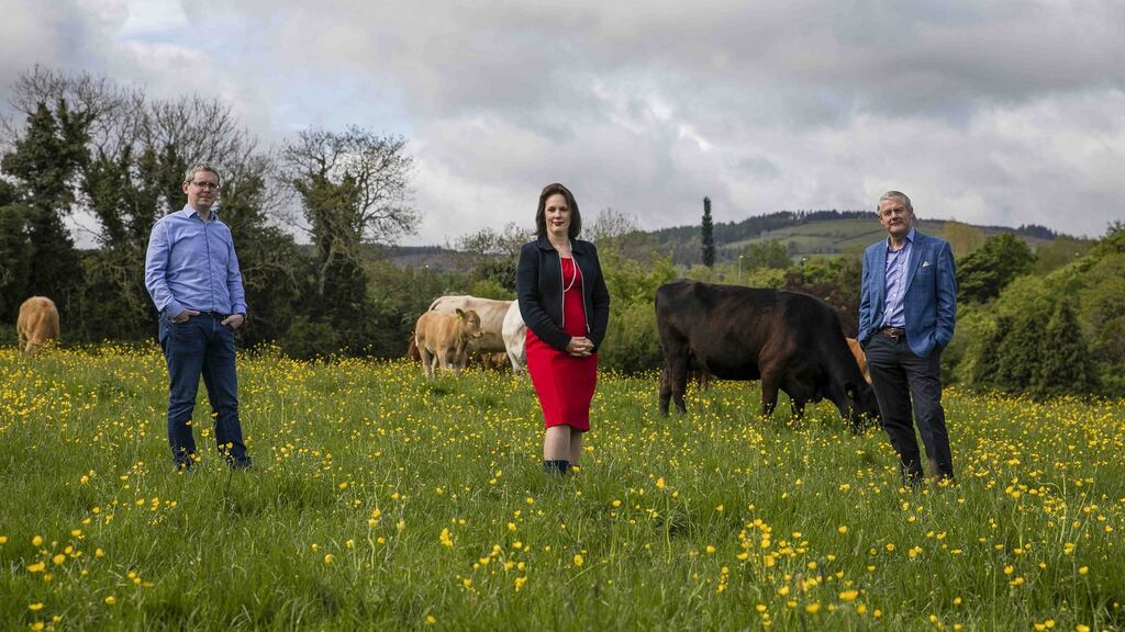 David Bowles, Nicky Deasy and Paul Finnerty of The Yield Lab Europe.Photograph: Chris Bellew /Fennell Photography