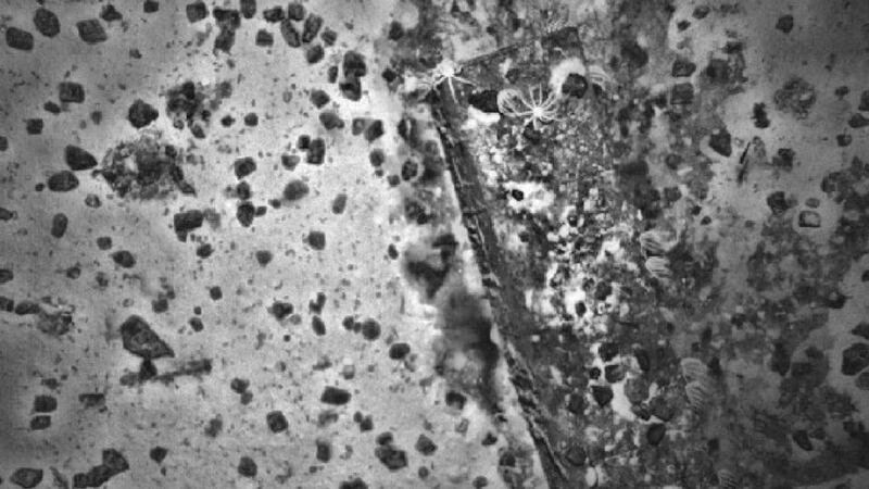 Images of a previously uncharted shipwreck found whilst searching for missing Malaysia Airlines Flight MH370. Photograph: Fugro/AFP/Getty Images