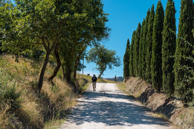 The Tuscan section of the historic Via Francigena pilgrimage route offers a journey through charming villages and vineyards