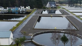 Boil-water notice issued for parts of south Dublin and Wicklow