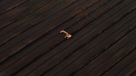 Restore our bogs, for peat’s sake