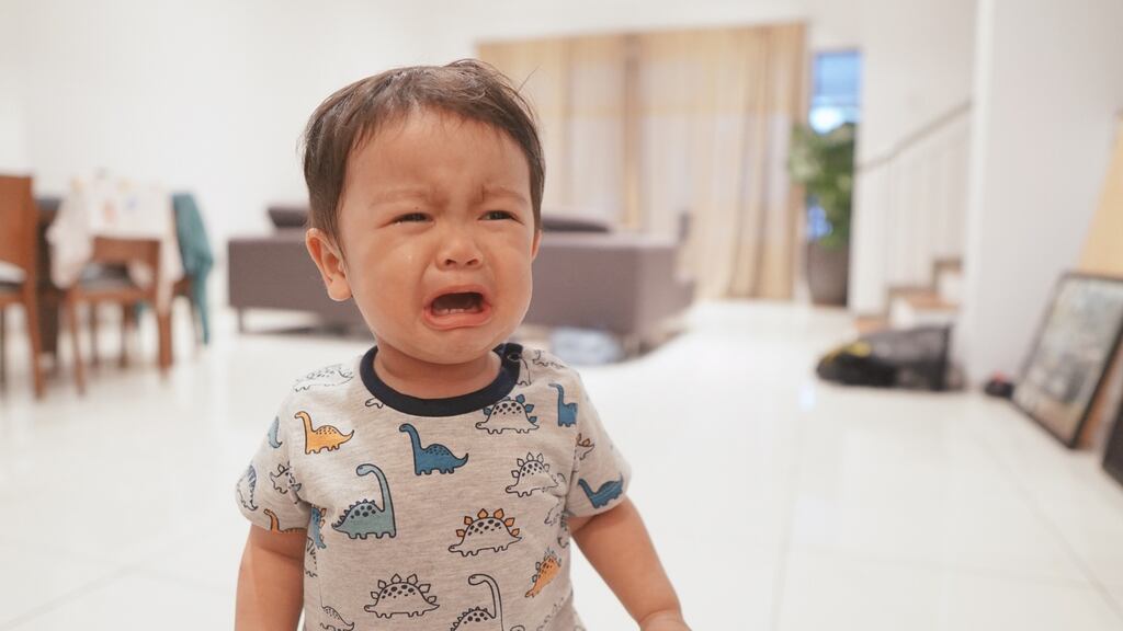 Toddlers only need one main adult carer and it is only when they become three years or more that they really benefit from the social world of the preschool and being cared by other adults.