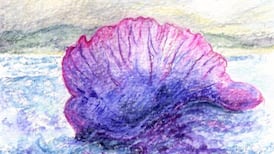 Another Life: Intricate manoeuvres of the  man-of-war