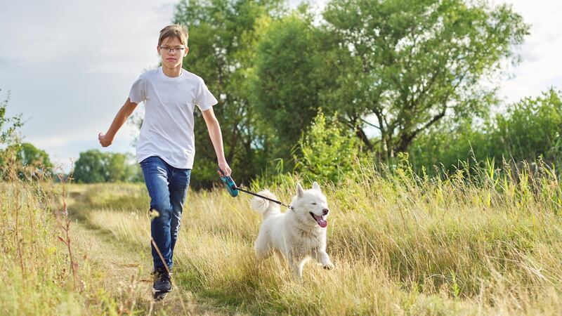 Regular physical activity improves children’s aerobic fitness, coordination, muscle strength and endurance. Photograph: iStock
