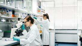 First human-monkey chimera raises concern among scientists