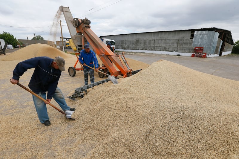 Ukrainian farmers mixing grain after a harvest in the Odesa area, southern Ukraine. Before the war Odesa was a pivotal export hub as Ukraine became an agricultural powerhouse, accounting for almost 15% of world grain exports. Photograph: