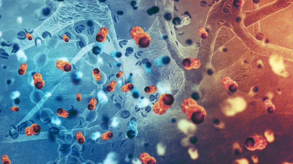 Our immune cells can sometimes recognise and destroy cancer cells without assistance. But tumours may hide by taking advantage of a gene called CD47