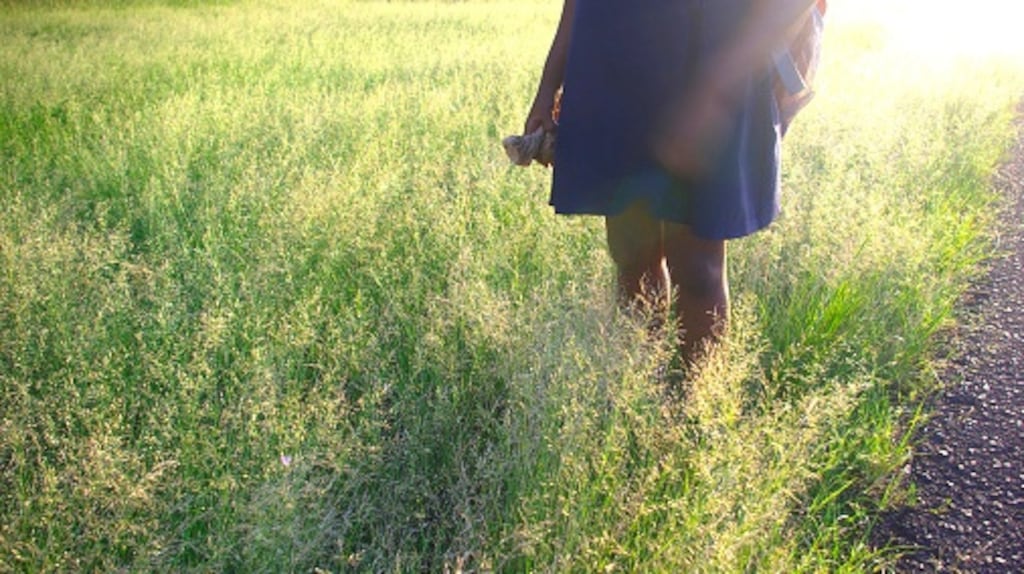 The west Clare man pleaded guilty to the sexual assault of two of his nieces.