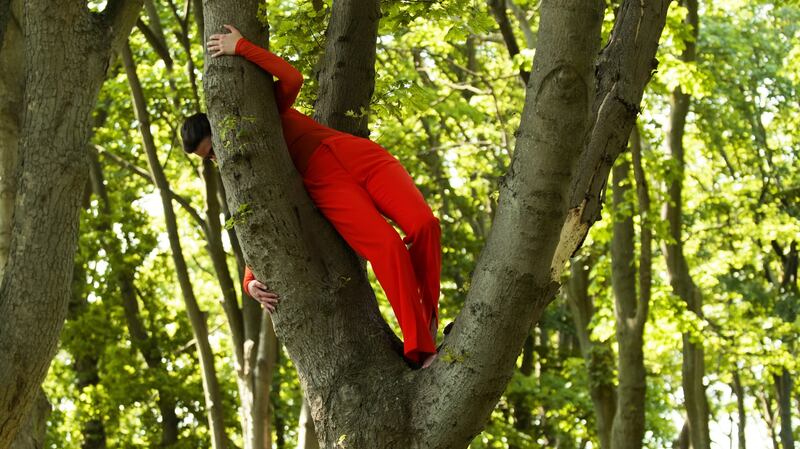 Root. Image: Luca Truffarelli