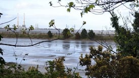 EU official castigates Government over environmental court costs