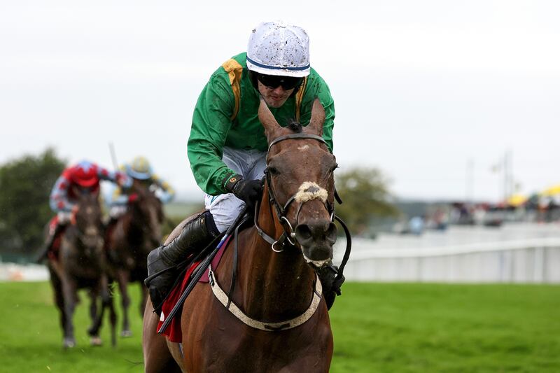 Darragh O'Keeffe on Talk In The Park comes home to win. Photograph: Laszlo Geczo/Inpho