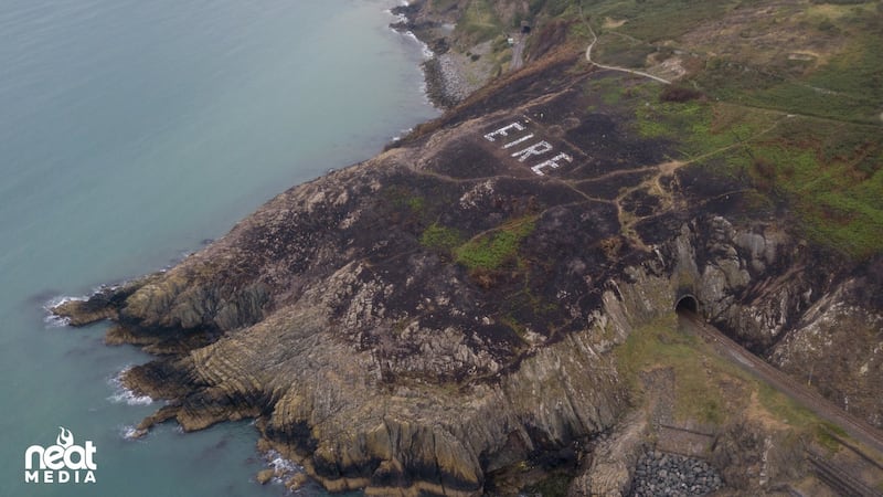 Photograph: Neat Media